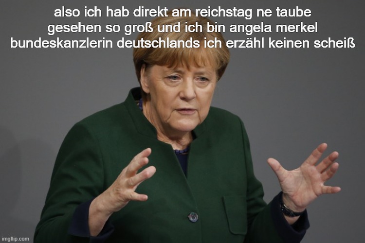 also ich hab direkt am reichstag ne taube gesehen so groß und ich bin angela merkel bundeskanzlerin deutschlands ich erzähl keinen scheiß